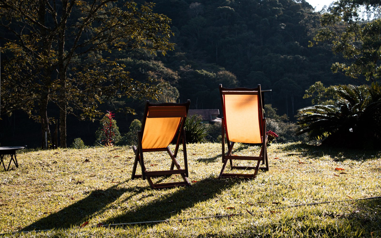 Retreat Vs Therapy: Differences, Benefits,  Costs & Which Is Right For You